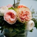 erin_peter_0437